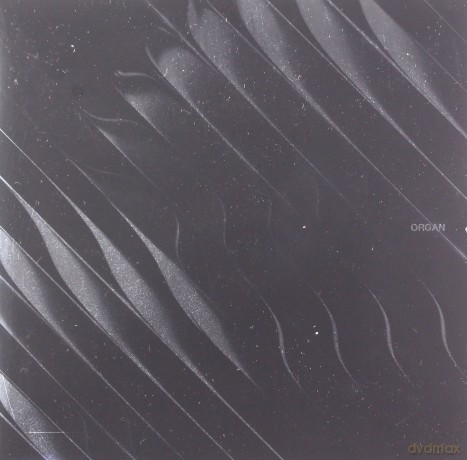 Dimension: Organ [CD]
