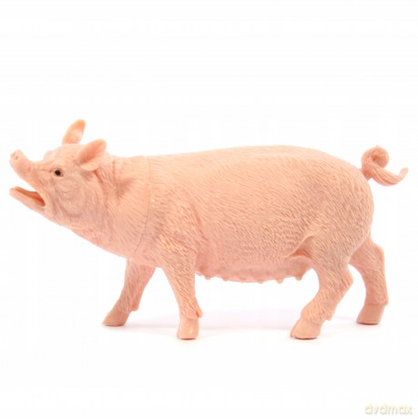 Zwierzęta