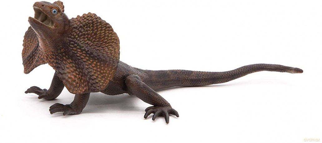 Agama kołnierzasta [FIGURKA]