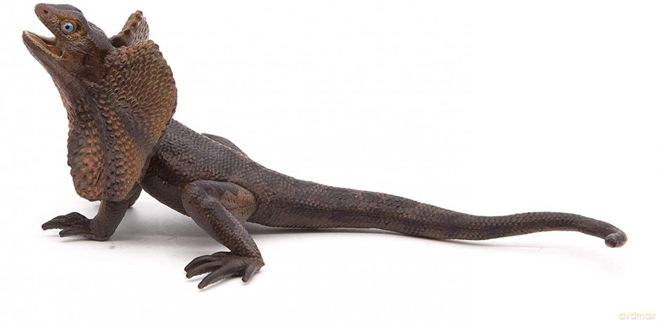 Agama kołnierzasta [FIGURKA]