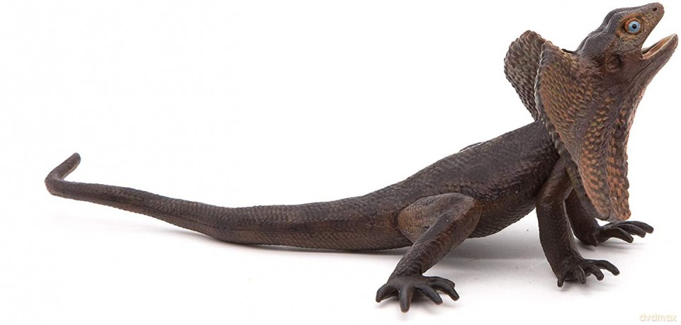 Agama kołnierzasta [FIGURKA]
