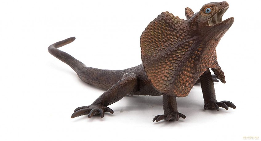 Agama kołnierzasta [FIGURKA]