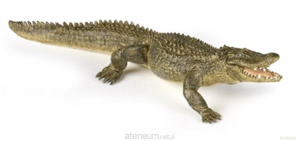 Aligator [FIGURKA]