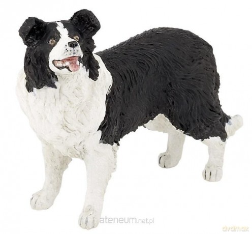 Border collie [FIGURKA]