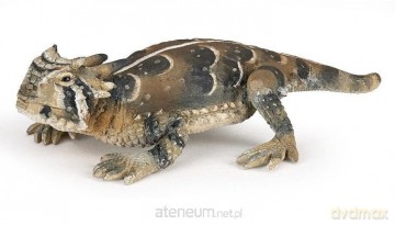 Frynosoma rogata [FIGURKA]