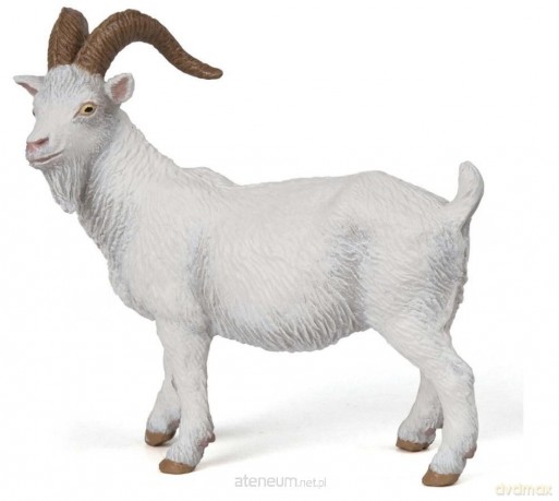 Koza [FIGURKA]