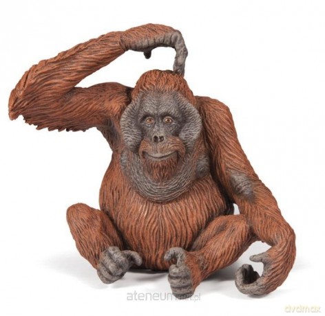 Orangutan [FIGURKA]