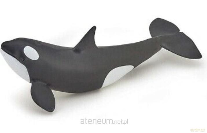 Orka młoda [FIGURKA]