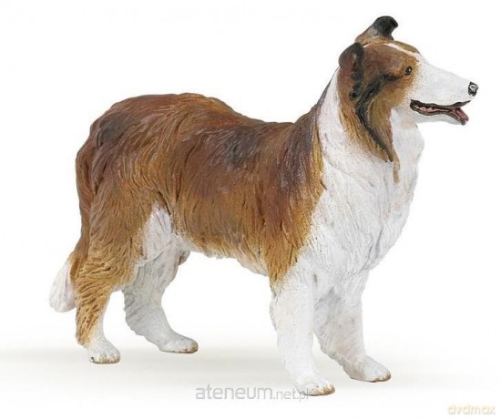 Owczarek Collie [FIGURKA]