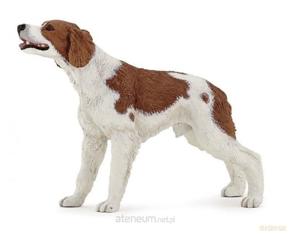 Spaniel brytański [FIGURKA]
