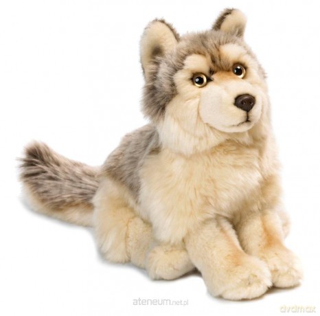 Wilk 25 cm WWF