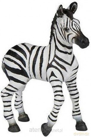 Zebra źrebię [FIGURKA]