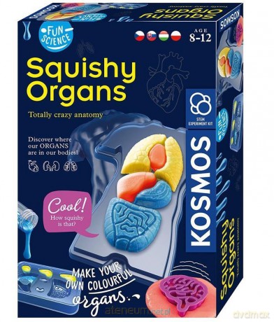 Zestaw Fun Science - Squishy Organs