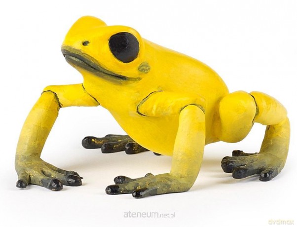 Żaba równikowa żółta [FIGURKA]