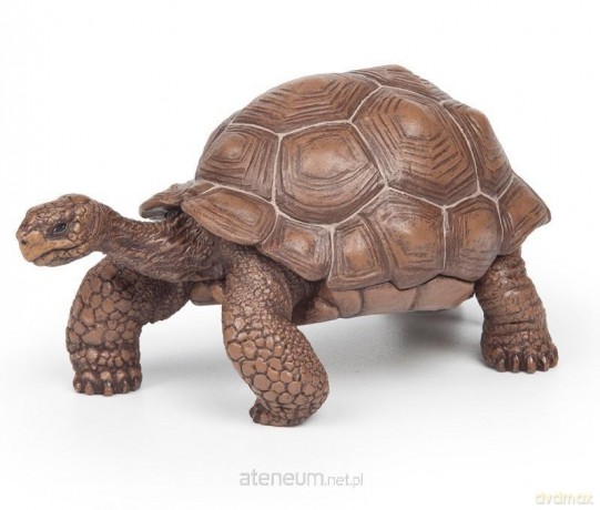 Żółw z Galapagos [FIGURKA]