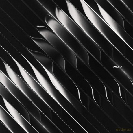 Dimension: Organ [2xWinyl]