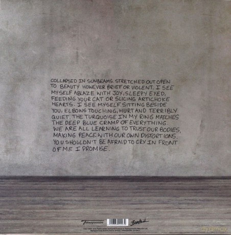 Arlo Parks: Collapsed In Sunbeams [Winyl]