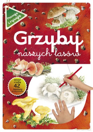 Grzyby naszych lasów - Katarzyna Kopiec-Sekieta [KSIĄŻKA]