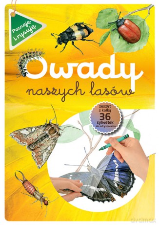 Owady naszych lasów - Katarzyna Kopiec-Sekieta [KSIĄŻKA]