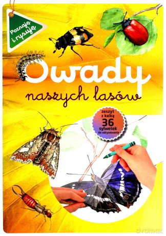 Owady naszych lasów - Katarzyna Kopiec-Sekieta [KSIĄŻKA]