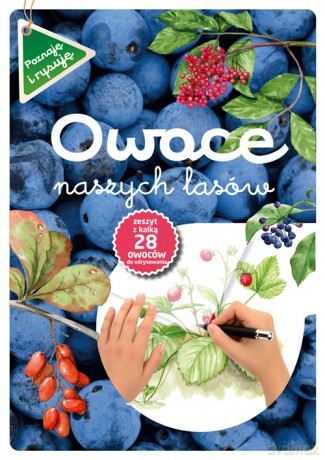 Owoce naszych lasów - Katarzyna Kopiec-Sekieta [KSIĄŻKA]