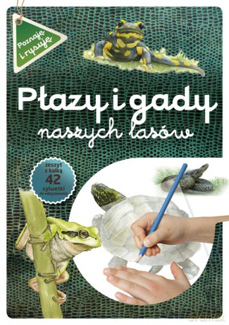 Płazy i gady naszych lasów - Katarzyna Kopiec-Sekieta [KSIĄŻKA]
