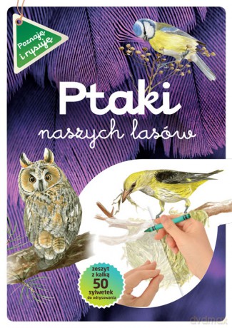Ptaki naszych lasów - Katarzyna Kopiec-Sekieta [KSIĄŻKA]