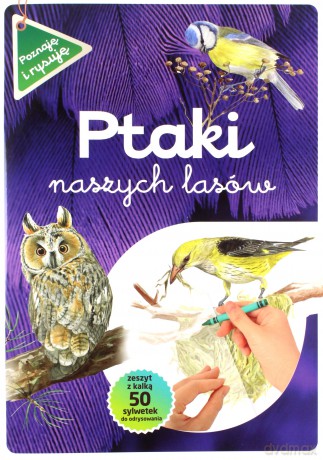 Ptaki naszych lasów - Katarzyna Kopiec-Sekieta [KSIĄŻKA]