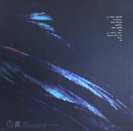 Anna B Savage: A Common Turn (Limited) [Winyl]