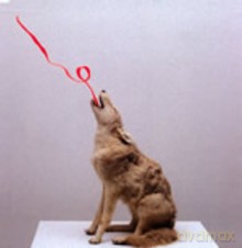 Mansion: Wolfschool (EP) [CD]