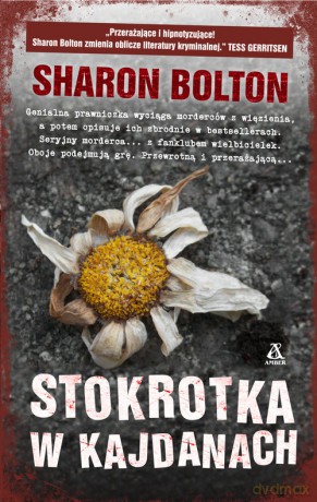 Stokrotka w kajdanach - Sharon Bolton [KSIĄŻKA]