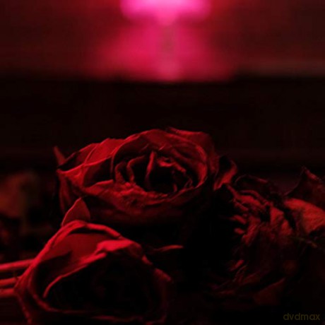 The Paper Kites: Roses [2xWinyl]