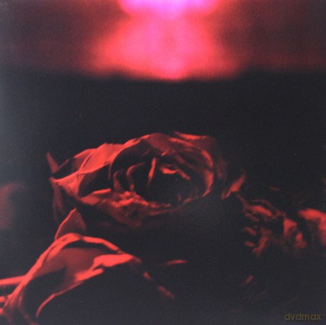 The Paper Kites: Roses [2xWinyl]