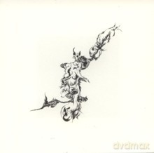 Peter Brotzmann, Keiji Haino: "Spreading blushes, or accelerating original sin" [CD]