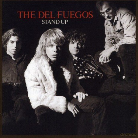 The Del Fuegos: Stand Up [CD]