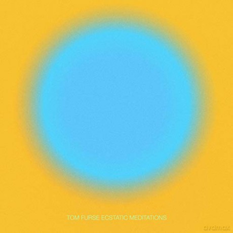 Tom Furse: Ecstatic Meditations [Winyl]