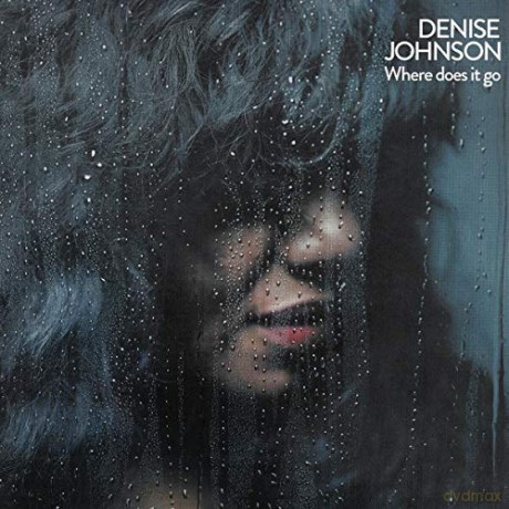 Denise Johnson: Where Does It Go [Winyl]