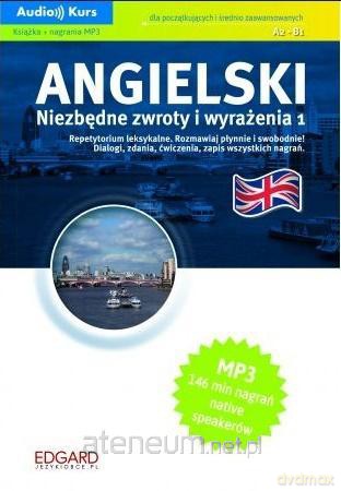 Angielski. Niezbedne zwroty i wyrażenia [KSIĄŻKA]