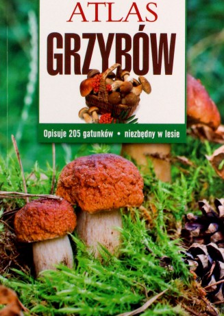 Atlas grzybów - Sławomir Sokół [KSIĄŻKA]