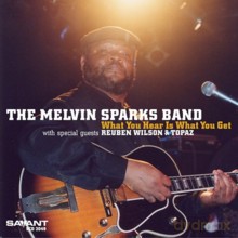Melvin Sparks Band, The: What You Hear Is What You Get [CD]