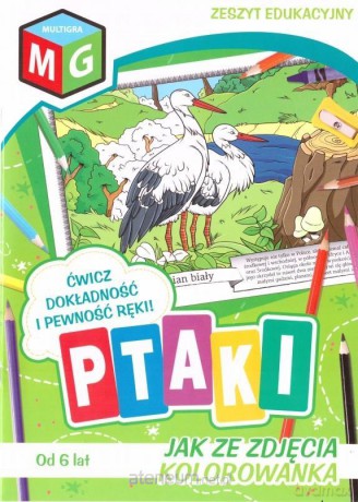 Jak ze zdjęcia - Ptaki [KSIĄŻKA]