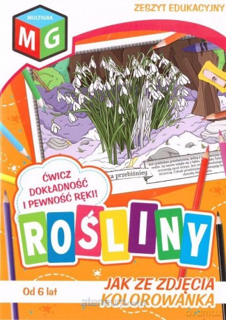Jak ze zdjęcia - Rośliny [KSIĄŻKA]