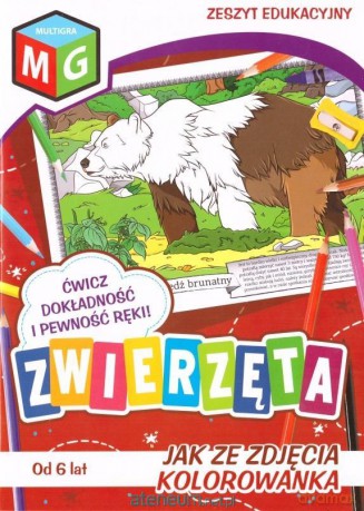 Jak ze zdjęcia - Zwierzęta [KSIĄŻKA]