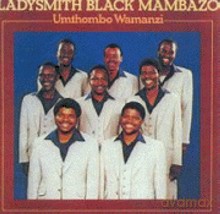 Ladysmith Black Mambazo: Umthombo Wamanzi [CD]
