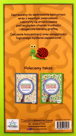 Labirynty dziecięce - Martyna Bubicz [KSIĄŻKA]