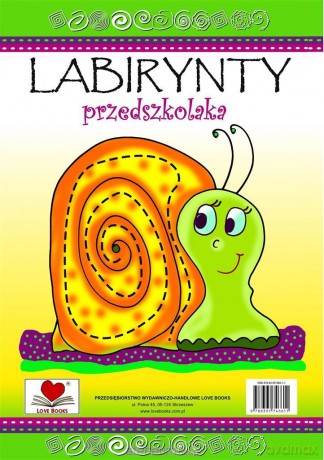 Labirynty przedszkolaka - Agnieszka Wileńska [KSIĄŻKA]