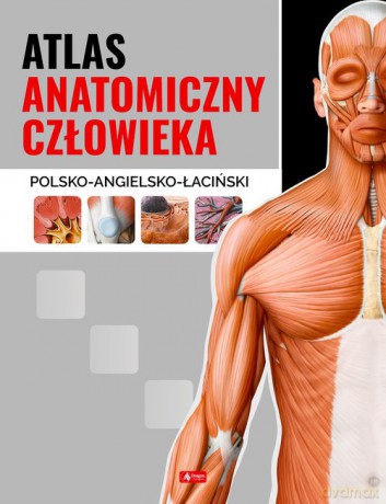 Atlas anatomiczny człowieka [KSIĄŻKA]