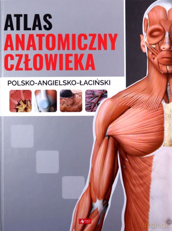Atlas anatomiczny człowieka [KSIĄŻKA]