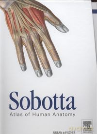 Sobotta Atlas of Human Anatomy 3 vols 15e, English [KSIĄŻKA]
