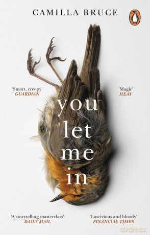 You Let Me In - Camilla Bruce [KSIĄŻKA]